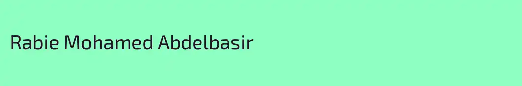 Rabie Mohamed Abdelbasir